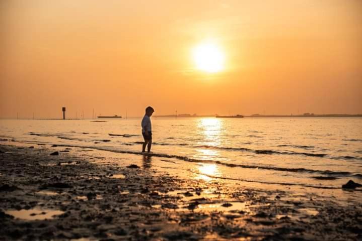 Logeren Op De Thoolse Parel Vakantiehuis Stavenisse Eksteriør billede